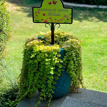 Appartamento Seasons At Leschi Hillsides